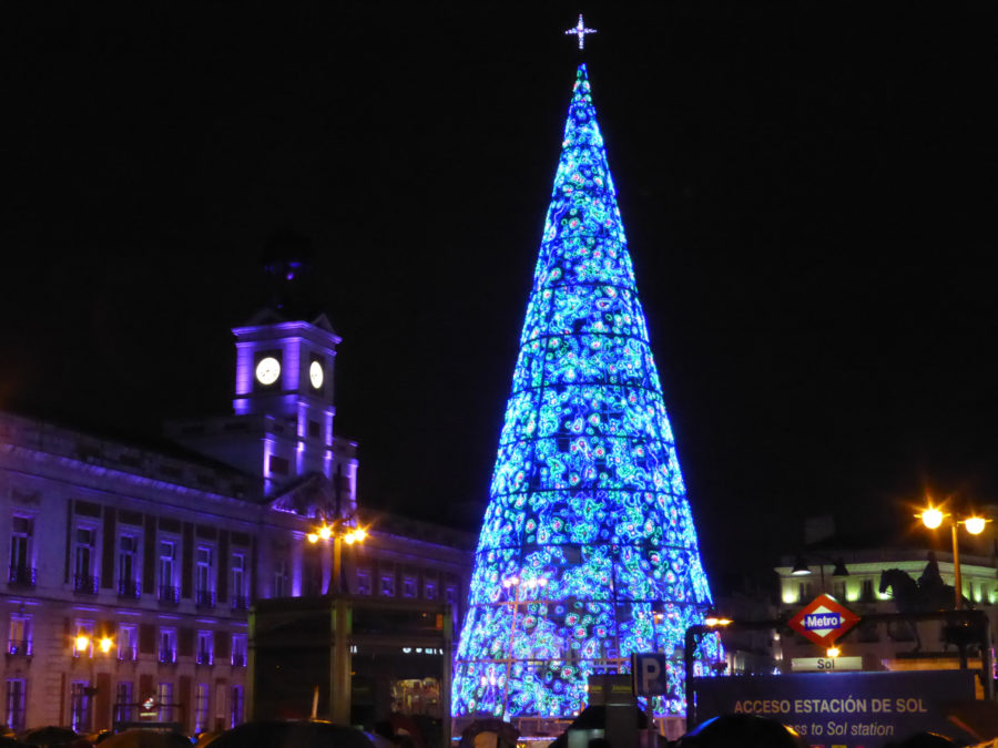 Arbol puerta del sol(2)